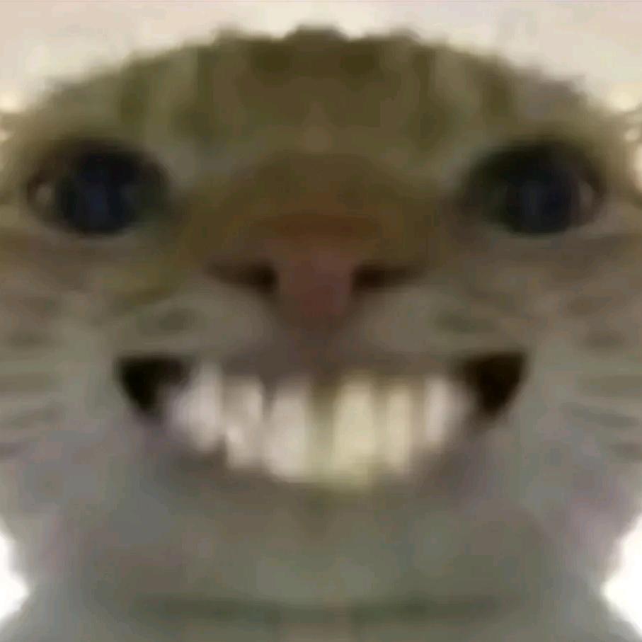 芬达猹（三角洲行动）