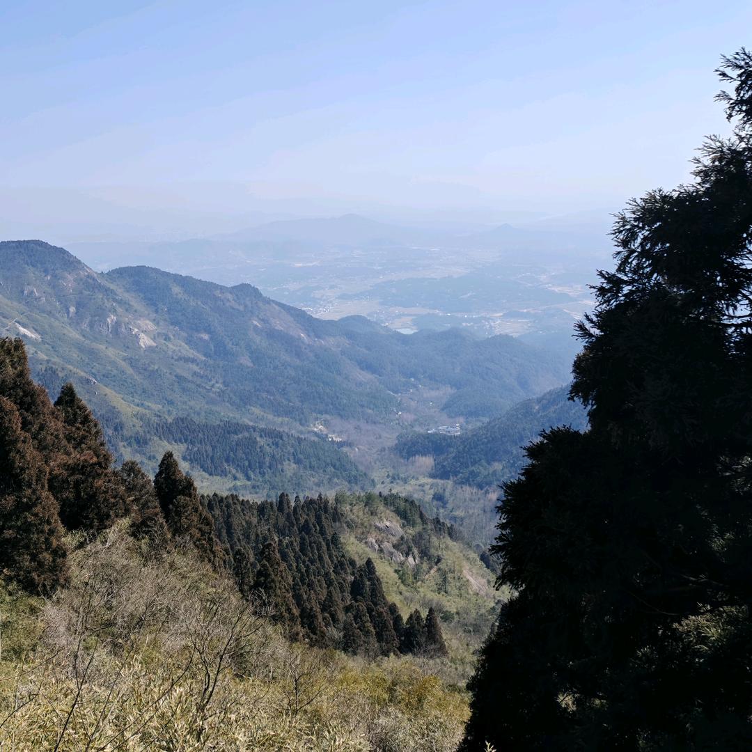 香蕉榴莲