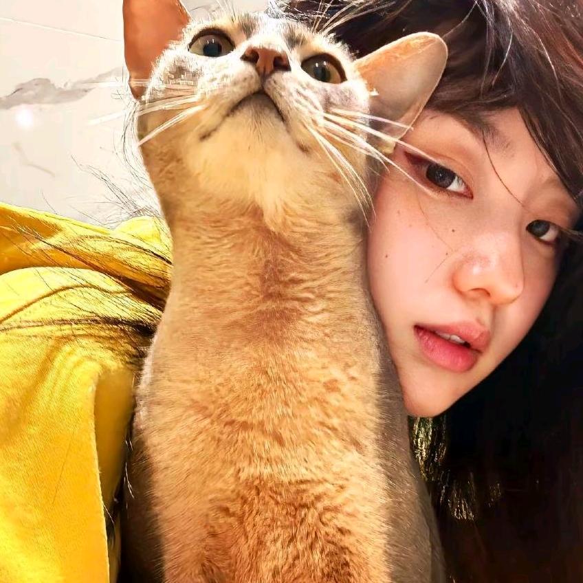 嘻嘻(˵¯͒〰¯͒˵)