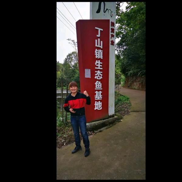 勇往直前丁山湖生态鱼    东胜店258