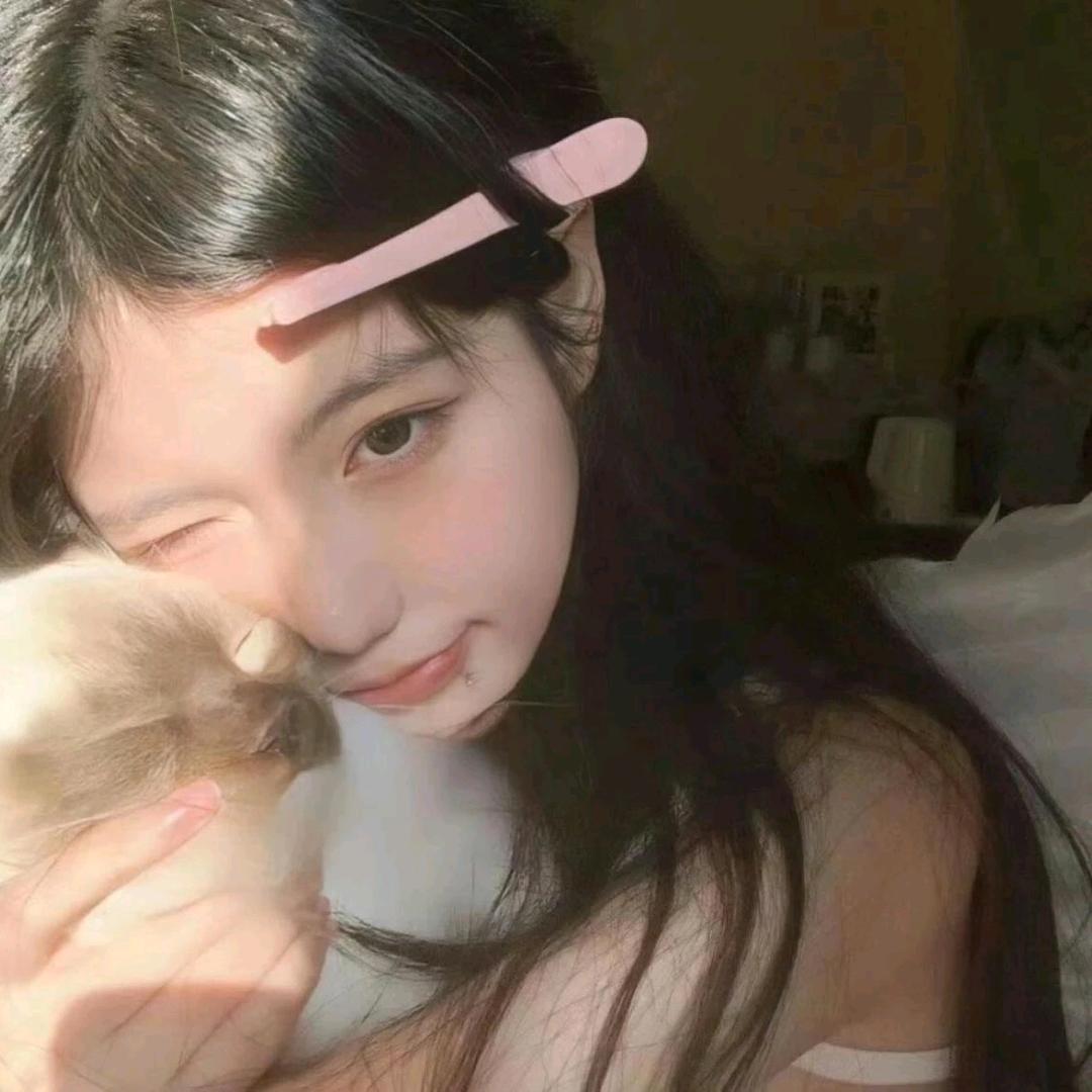 栀子猫