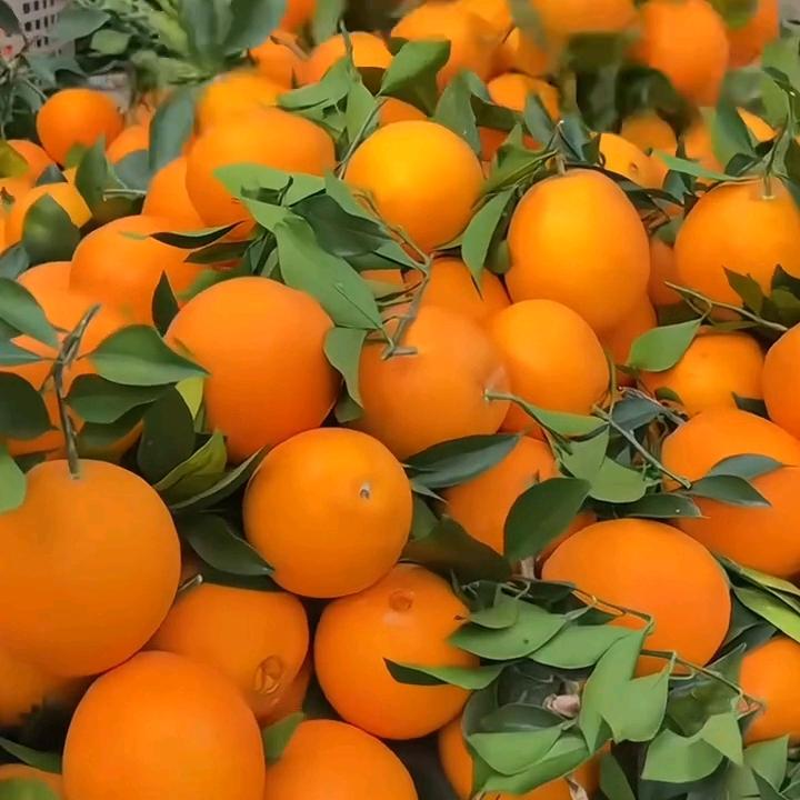 赣南脐橙（产地直发）