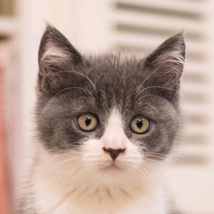 ℒℴѵℯ壹陆平安এ⁵²º᭄এ