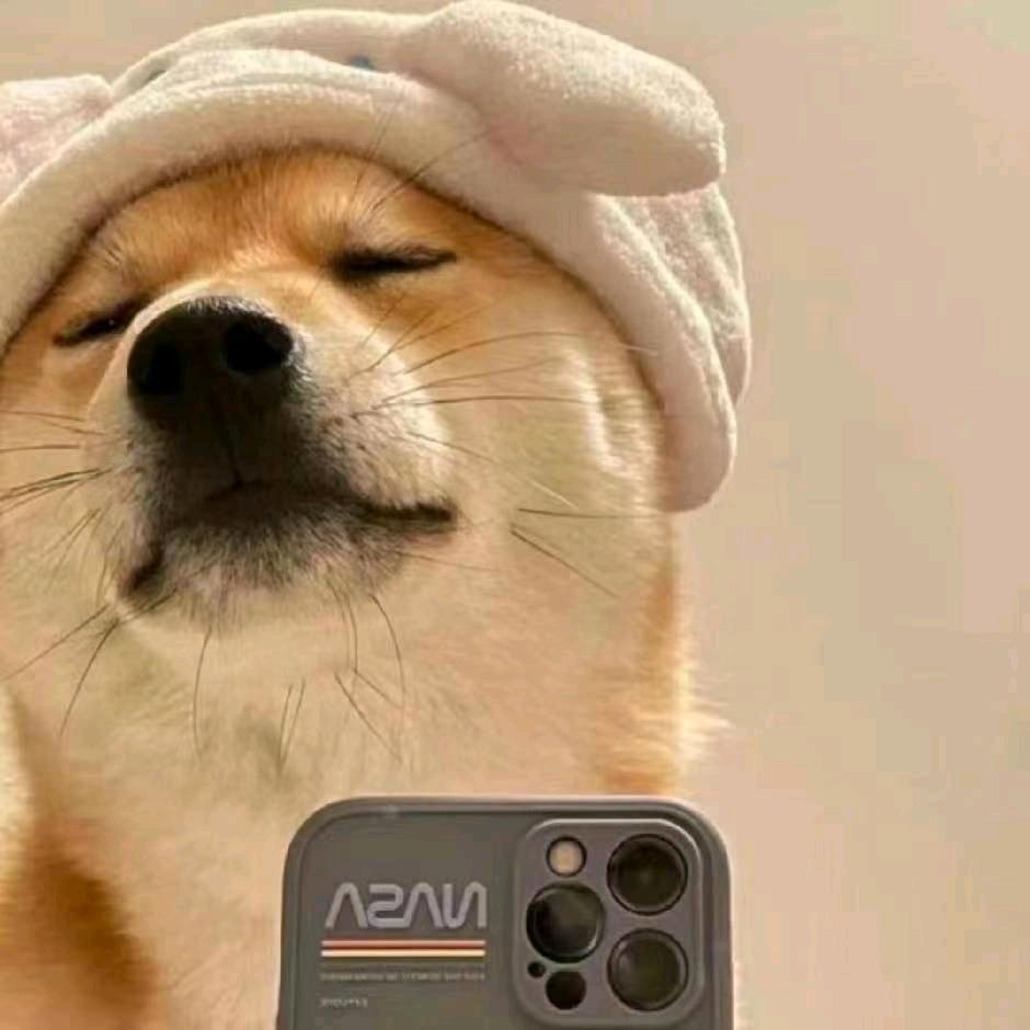 大耳帽兜