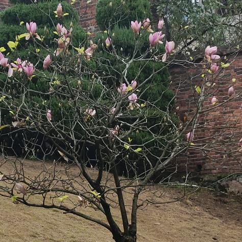 粒思高科技精品铺子