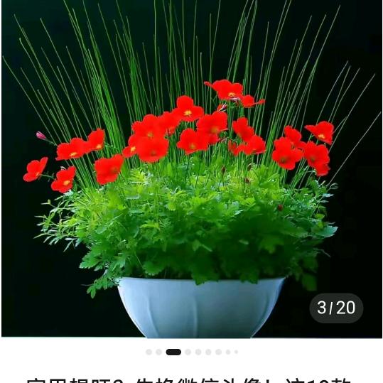 往事顺风