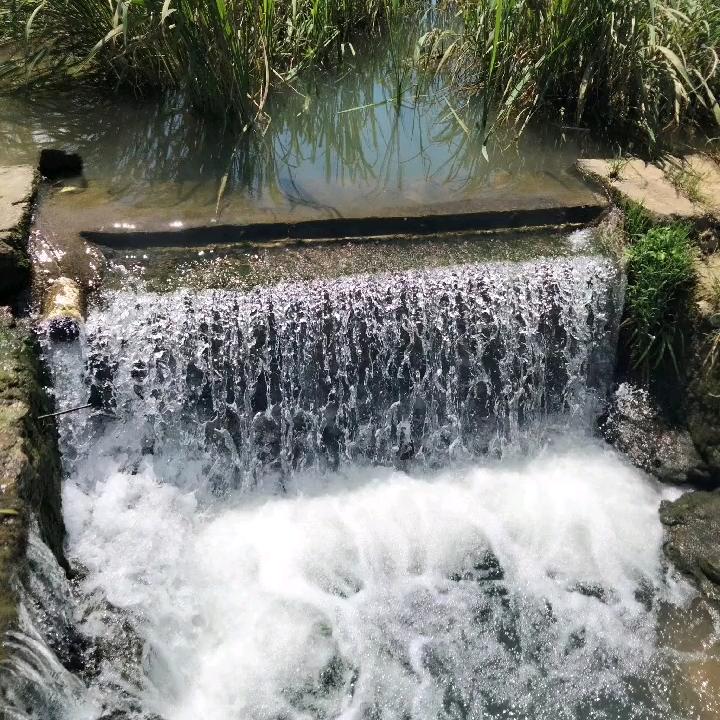 阳山原生态农副产品配送……