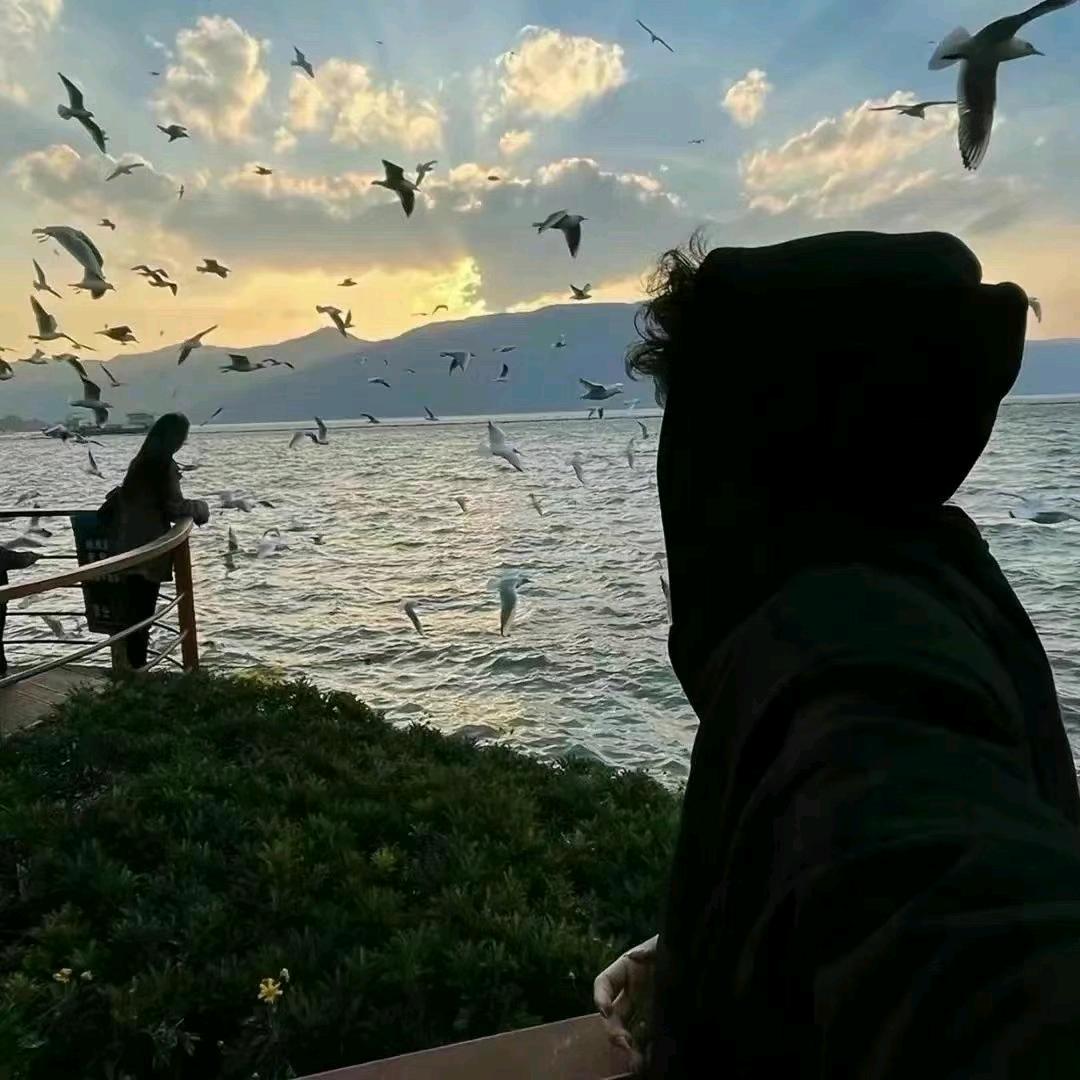 红薯.
