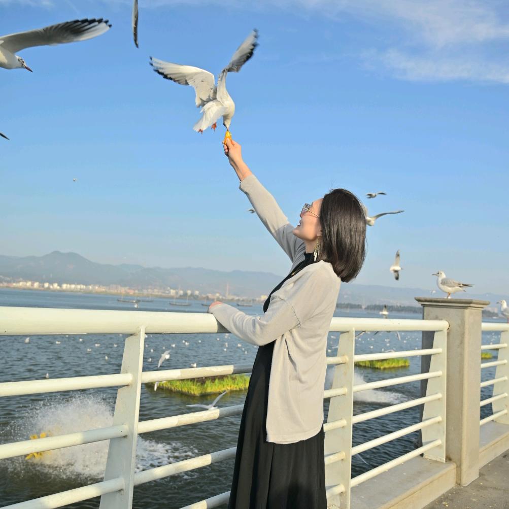 不吃韭菜不吃葱ƪ(˘⌣˘)ʃ