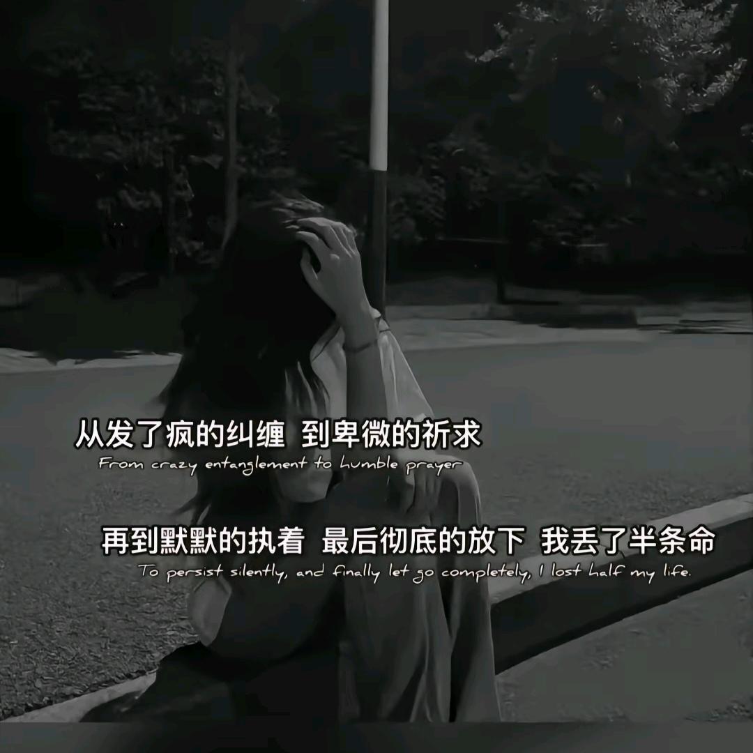 北城，有你⊙ω⊙