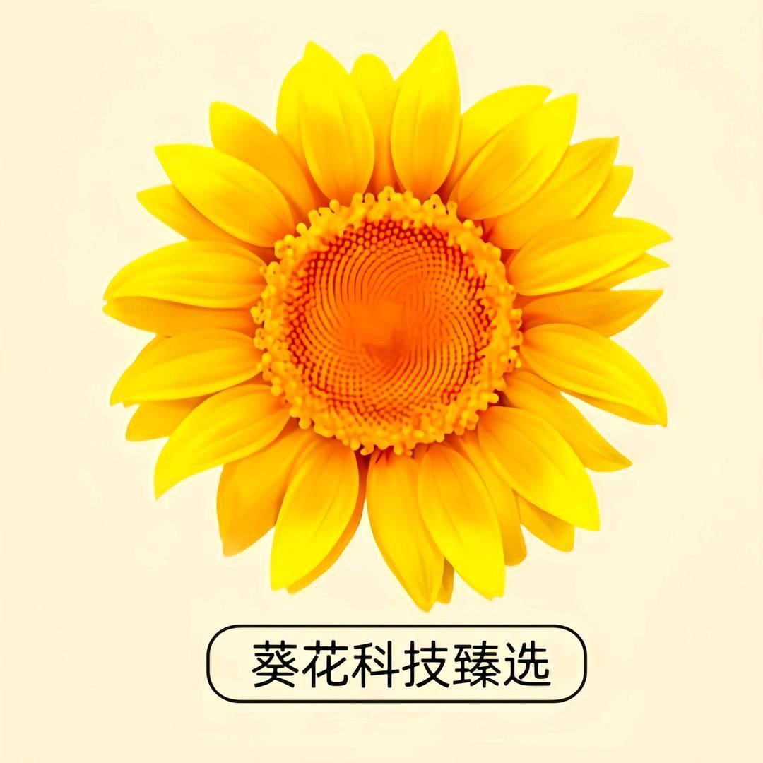 健上康洗护养发