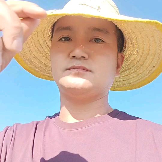 专注当归—党参！