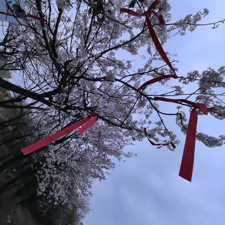 @小胡🉐摆摊日常