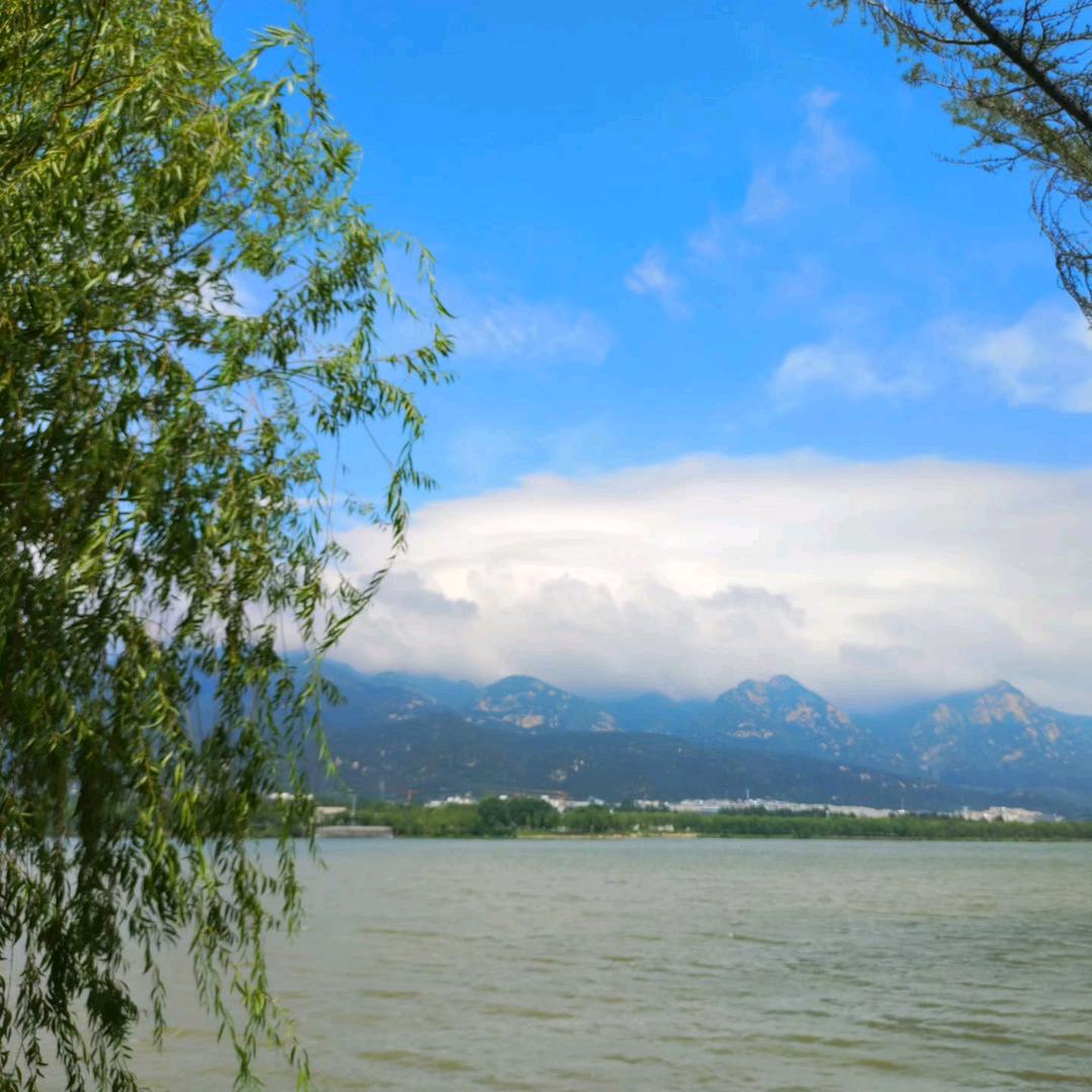 静墨