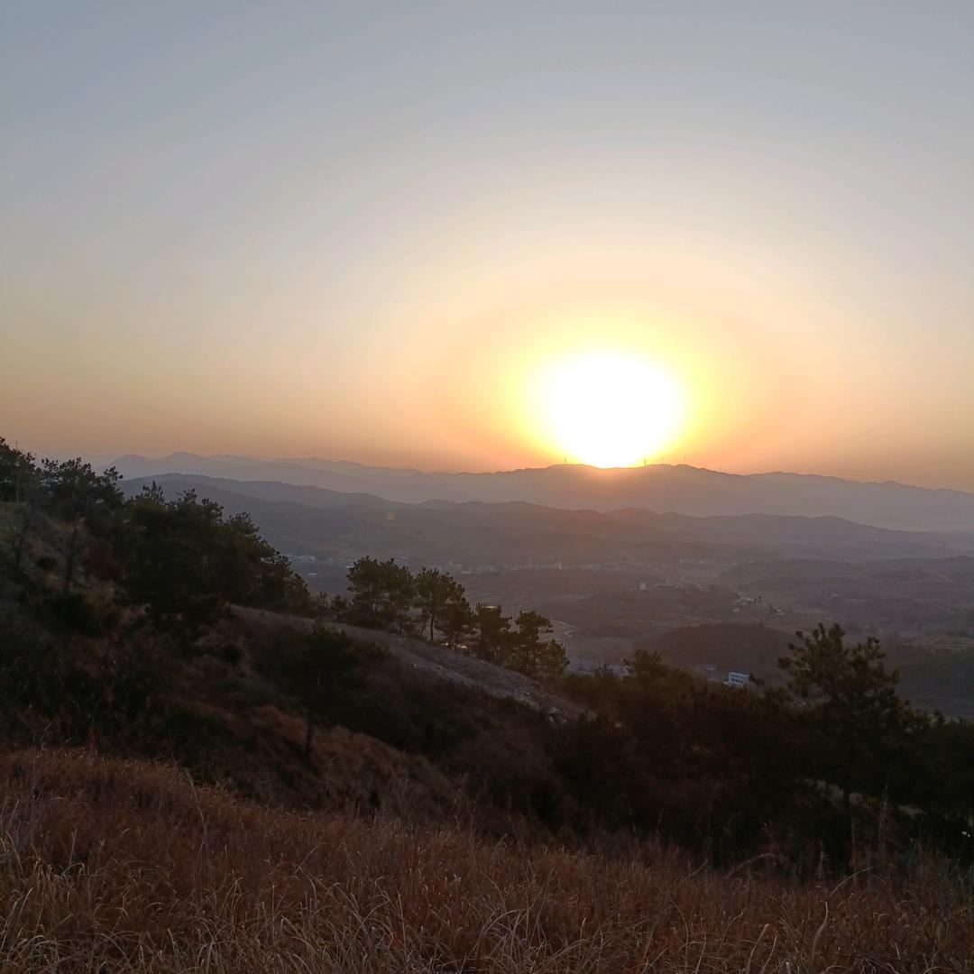 🌈唐伯虎点蚊香熏死秋香🌈