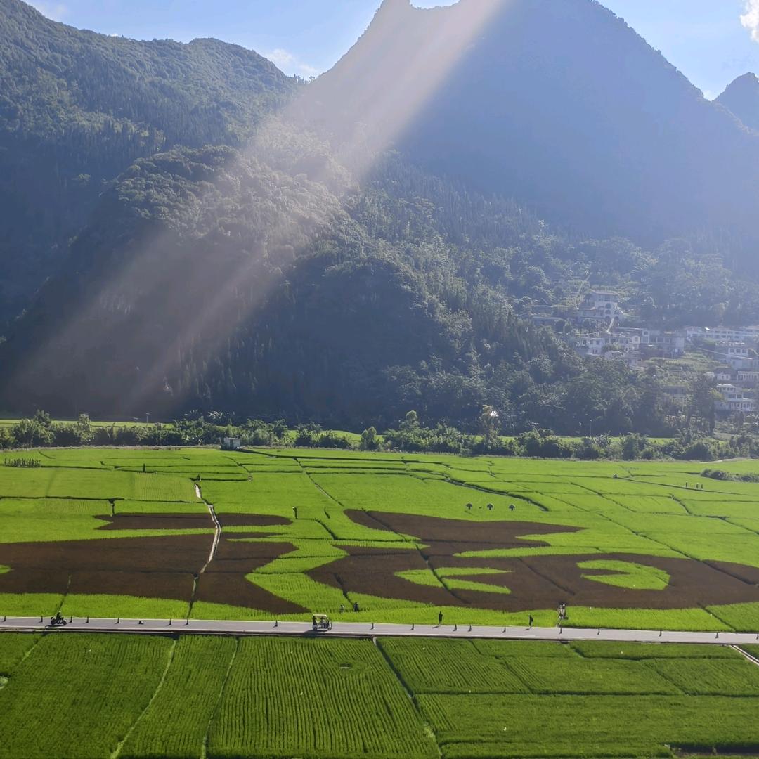 小玲