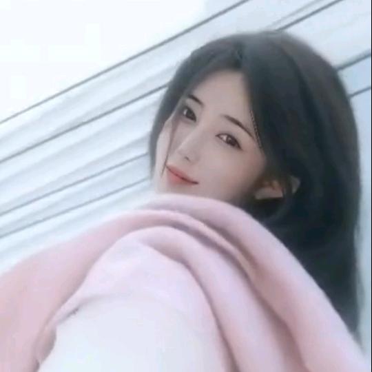 🍃自由圣罗兰🍃