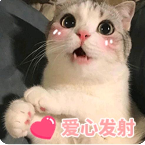 এ᭄叾屾ོꦿ࿐🎋（dushen）