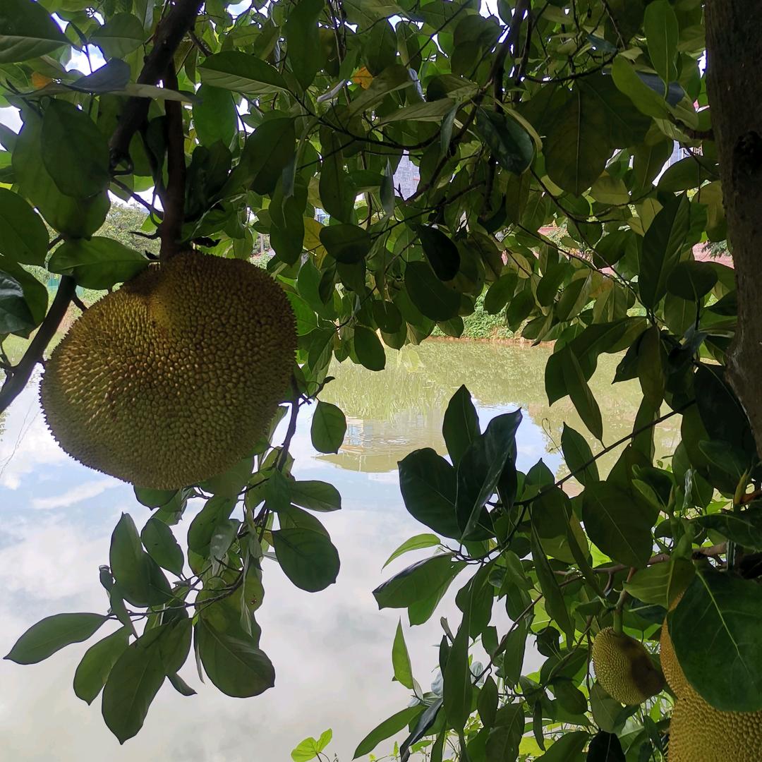 小梦: