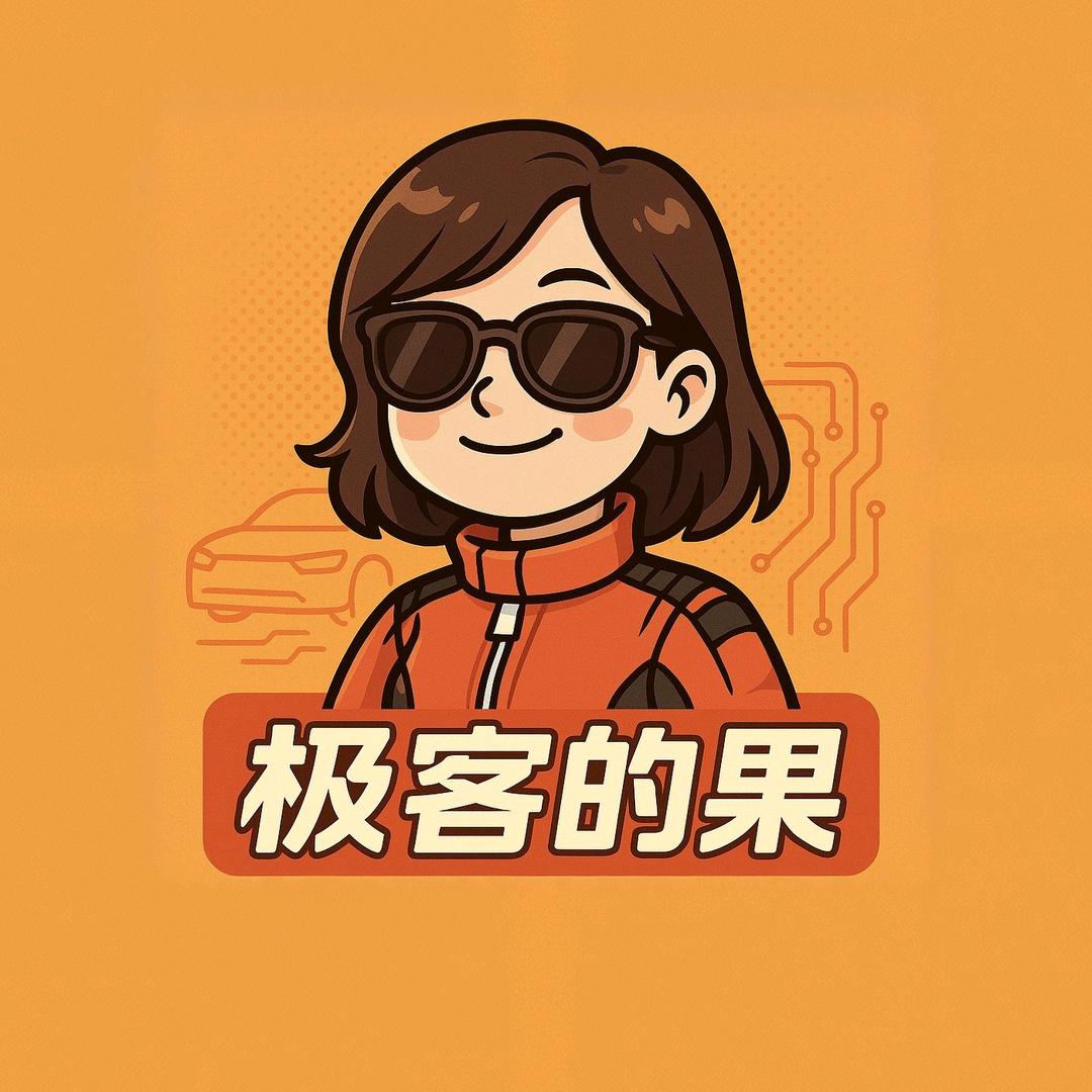 极客的果