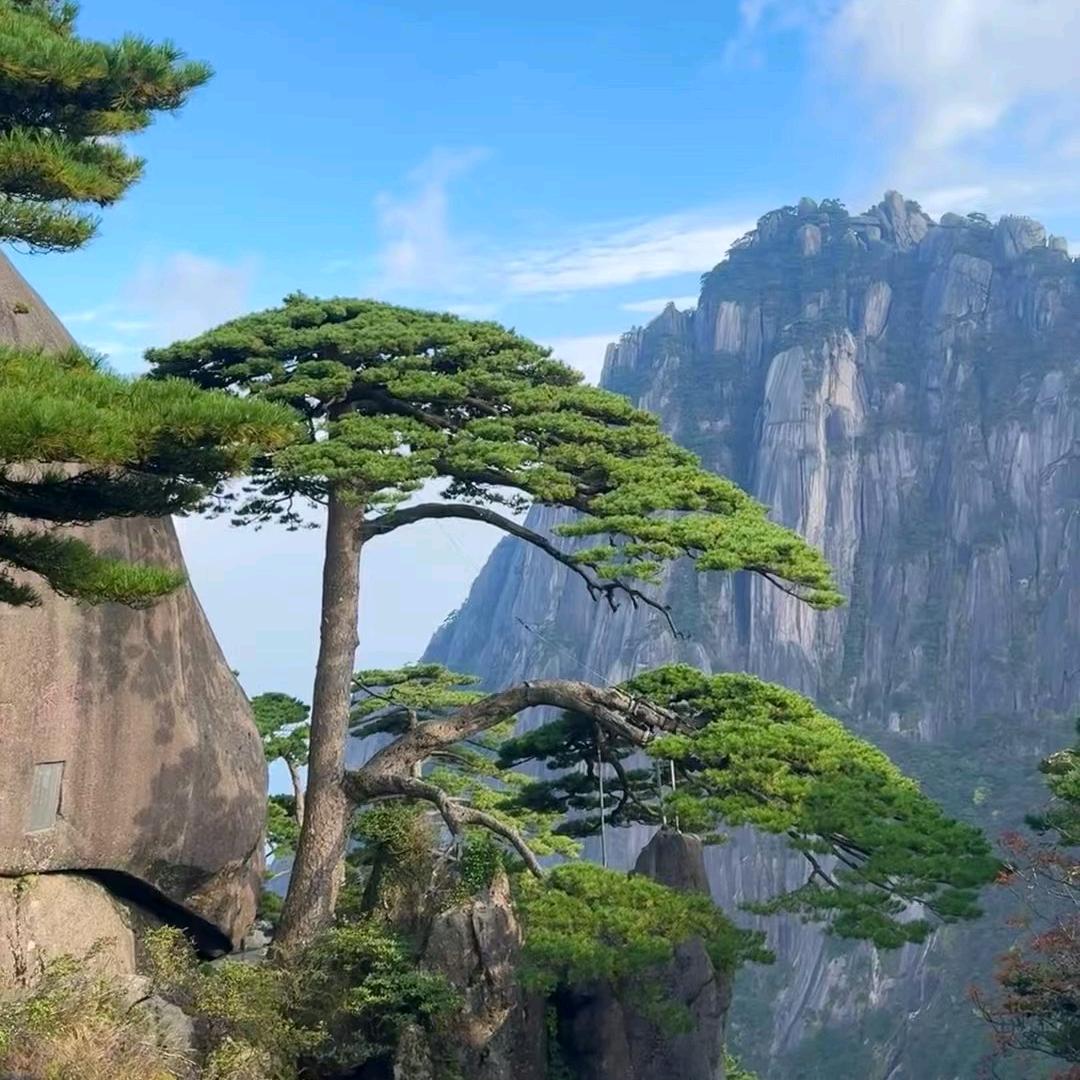嘚鹏儿