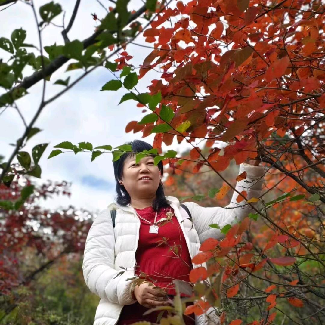 孙家大姑娘(不要连赞)