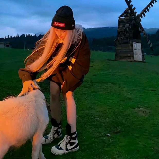 奶喵（烟台办玩）