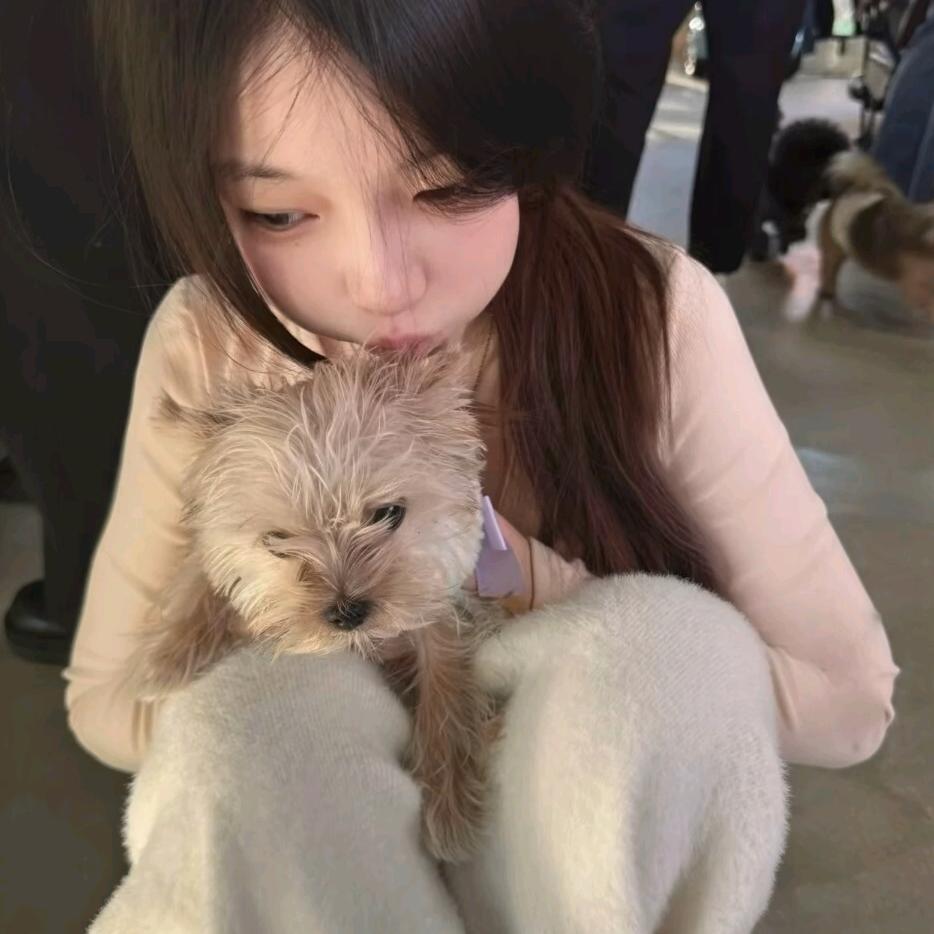 哥是真的帅、👾