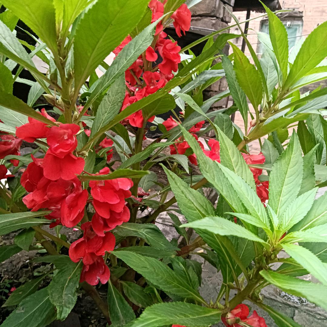 时间煮雨