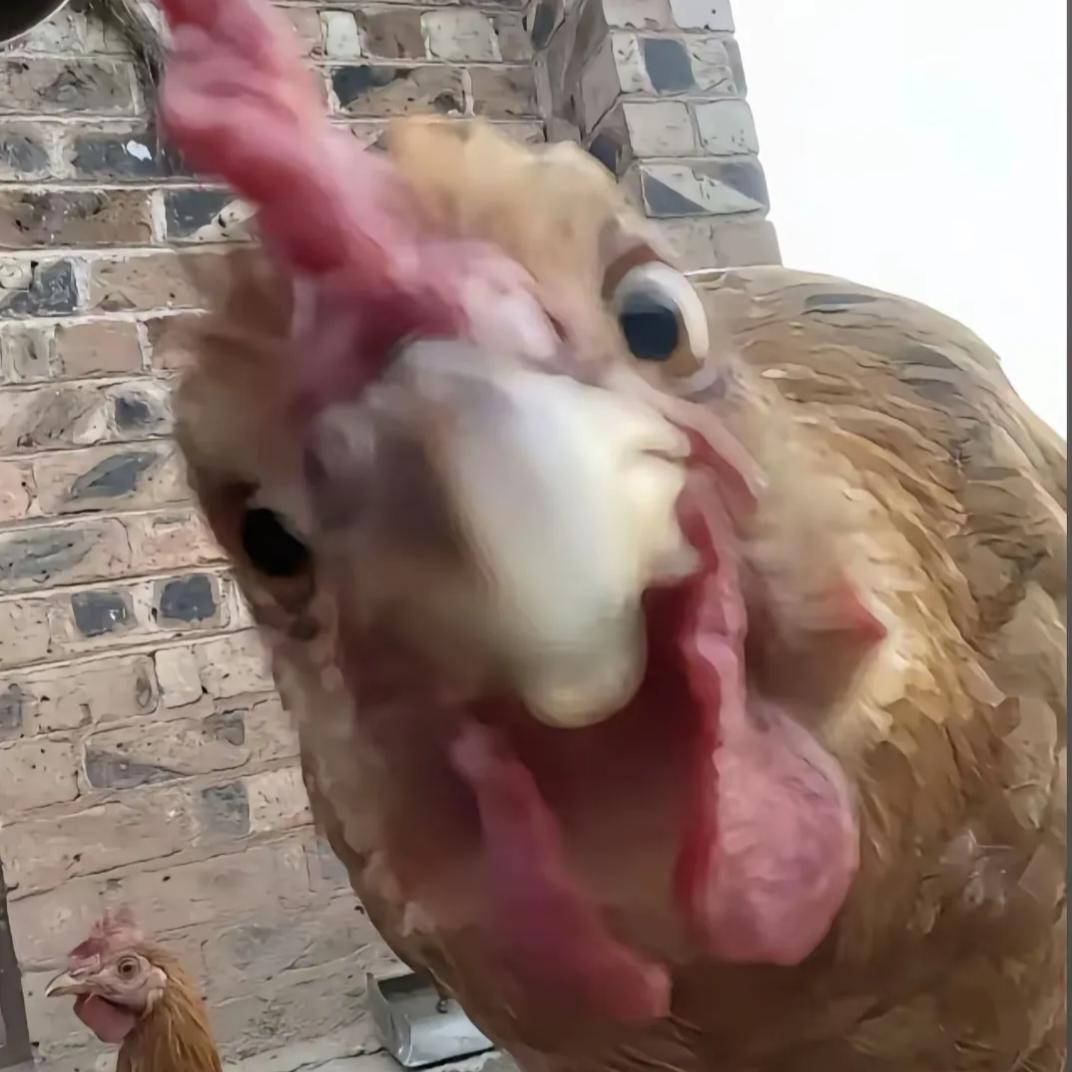 笨蛋小眩