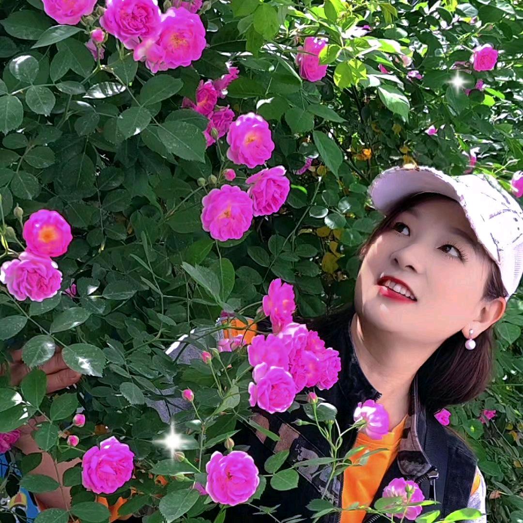 888杨妹