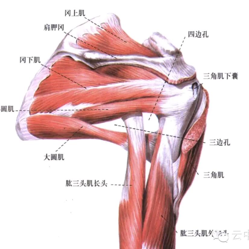 坚持每周跑25Km