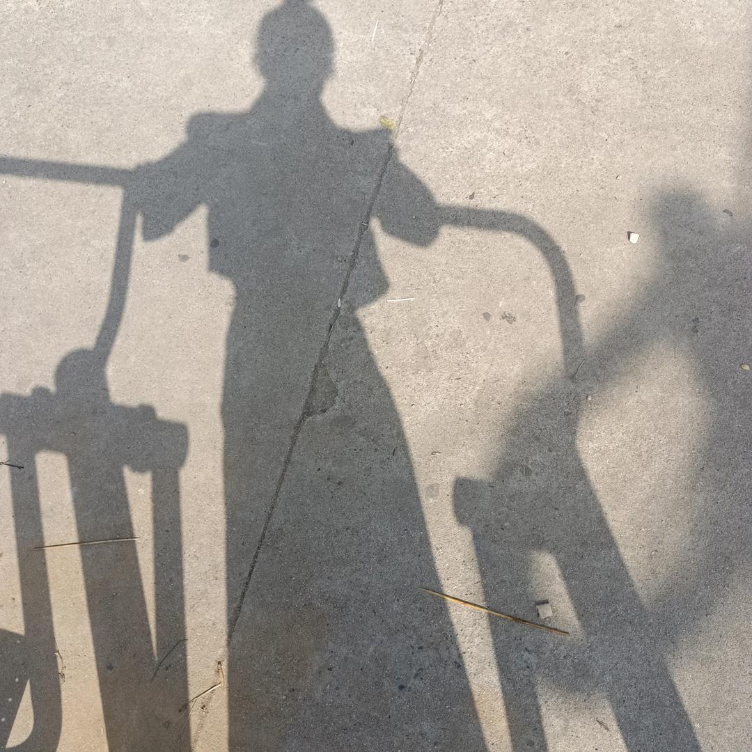 23