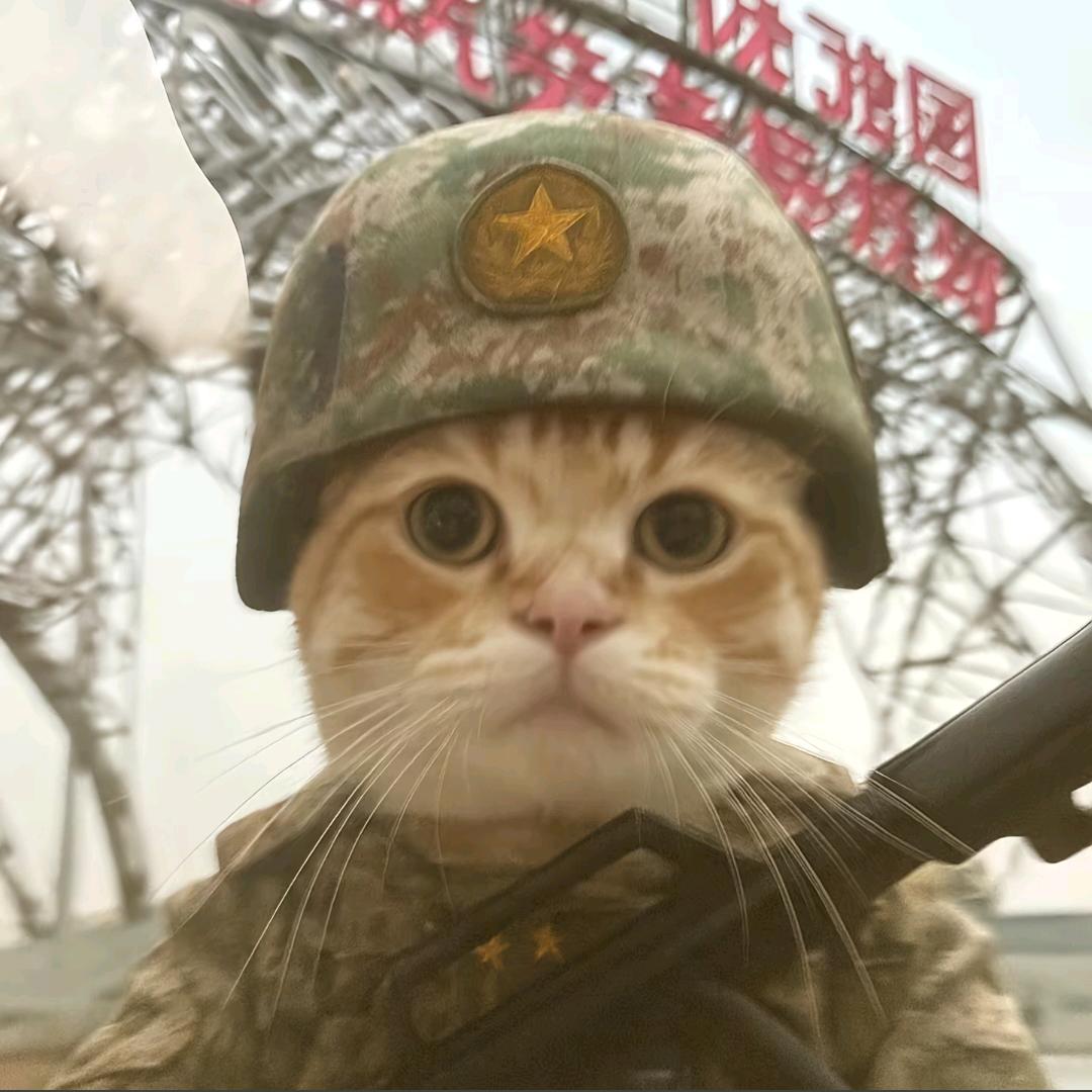 多次拒绝刘亦菲