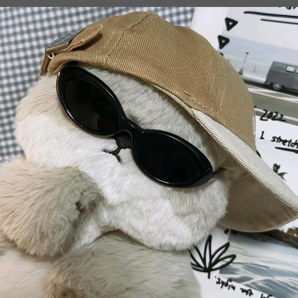 猫猫