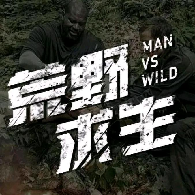 荒野生存