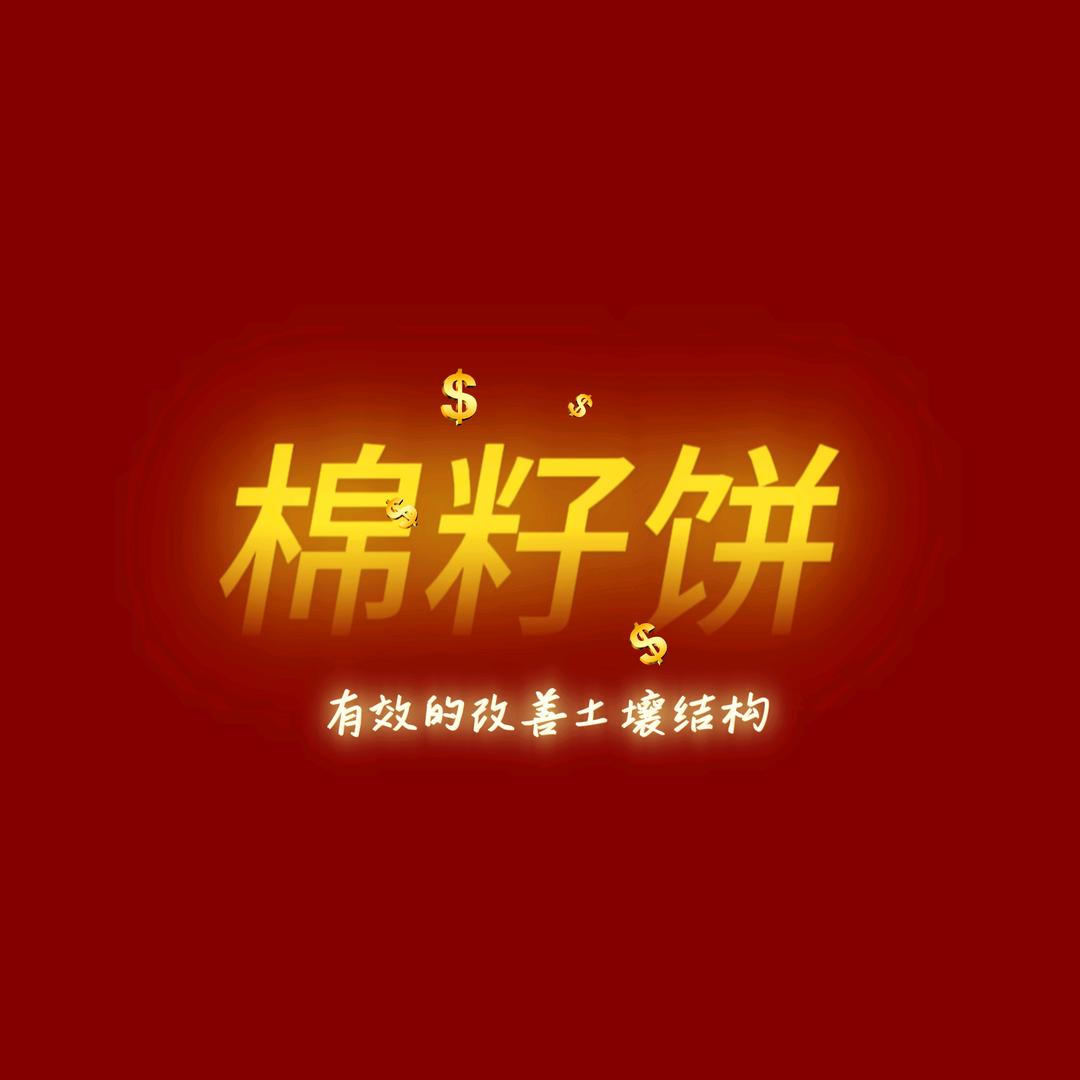 棉籽饼(万言农业科技)