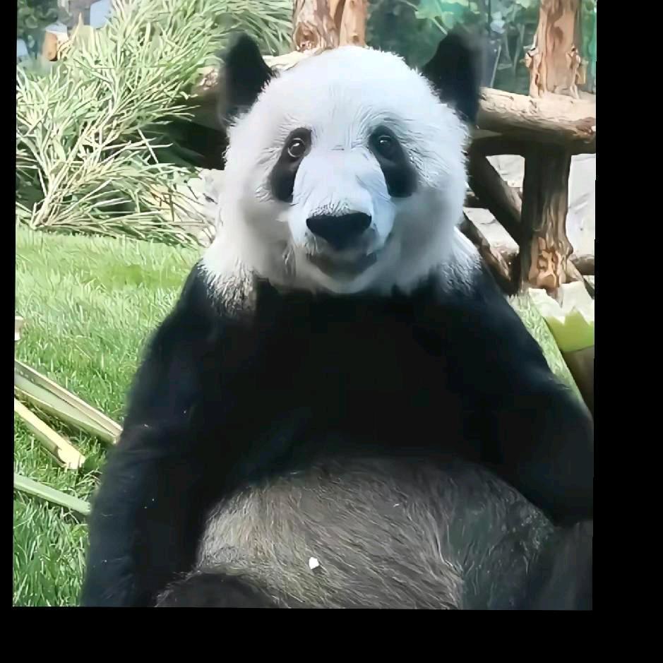 爱你一生一世