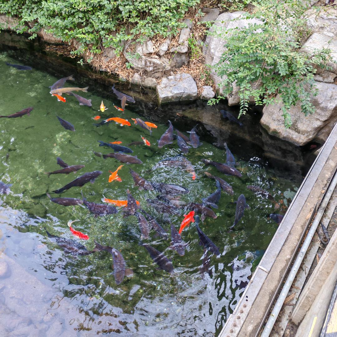 聆静女装工厂店