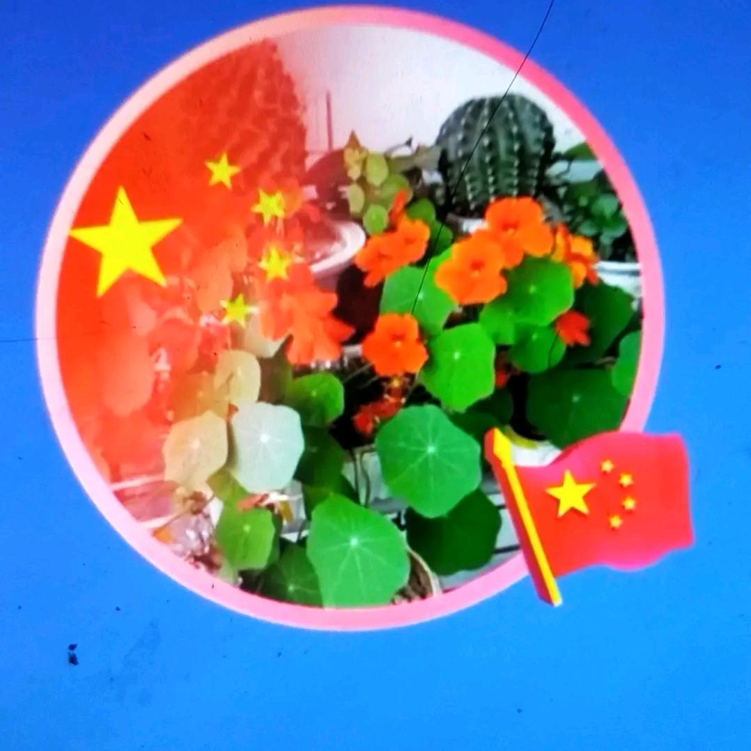 自由自在无忧无虑