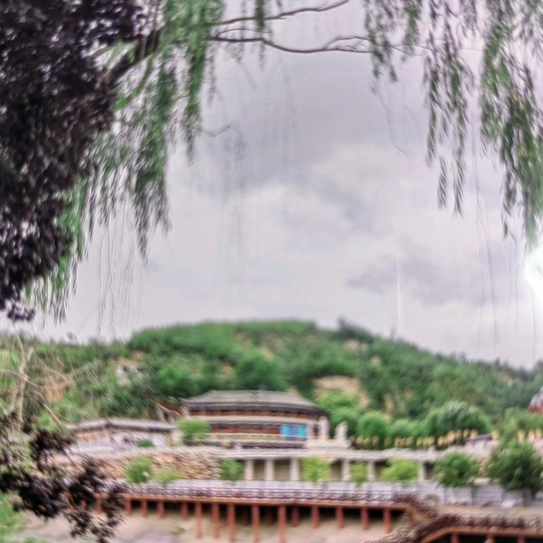 缘缘（点点滴滴）