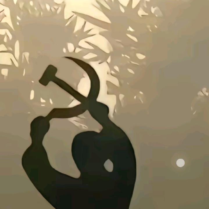 顺其自然🤙🤙🤙