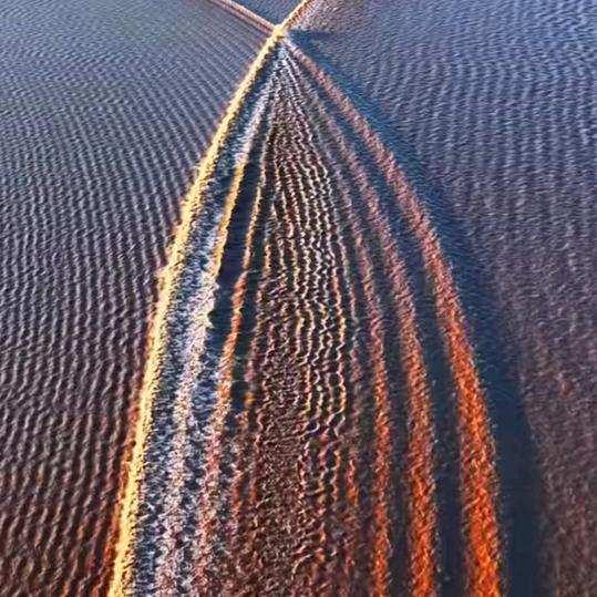 顺风顺水顺财神