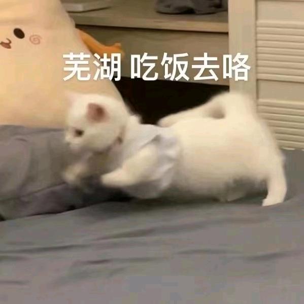 就吃亿点点.