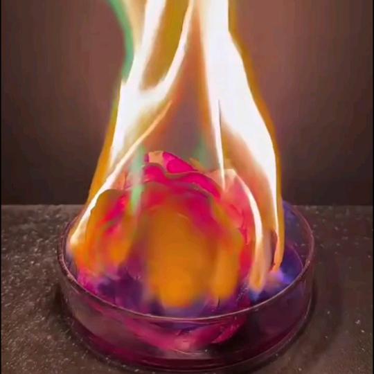 ༺༦小人物༦༻无……