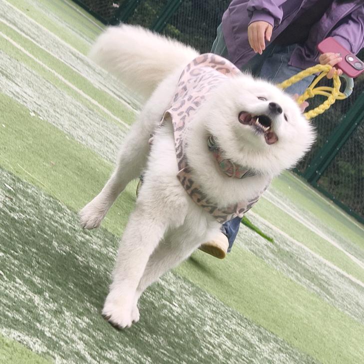 星～期～五