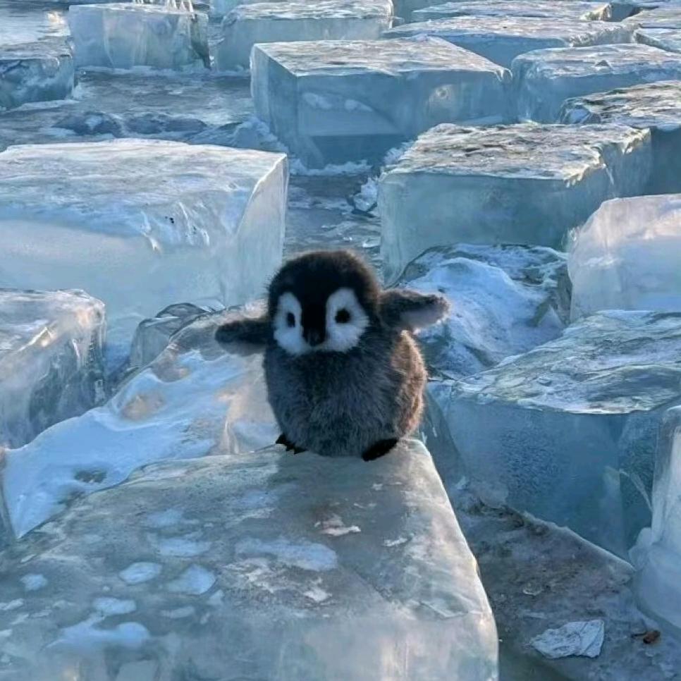 瘦出马甲线的富豪