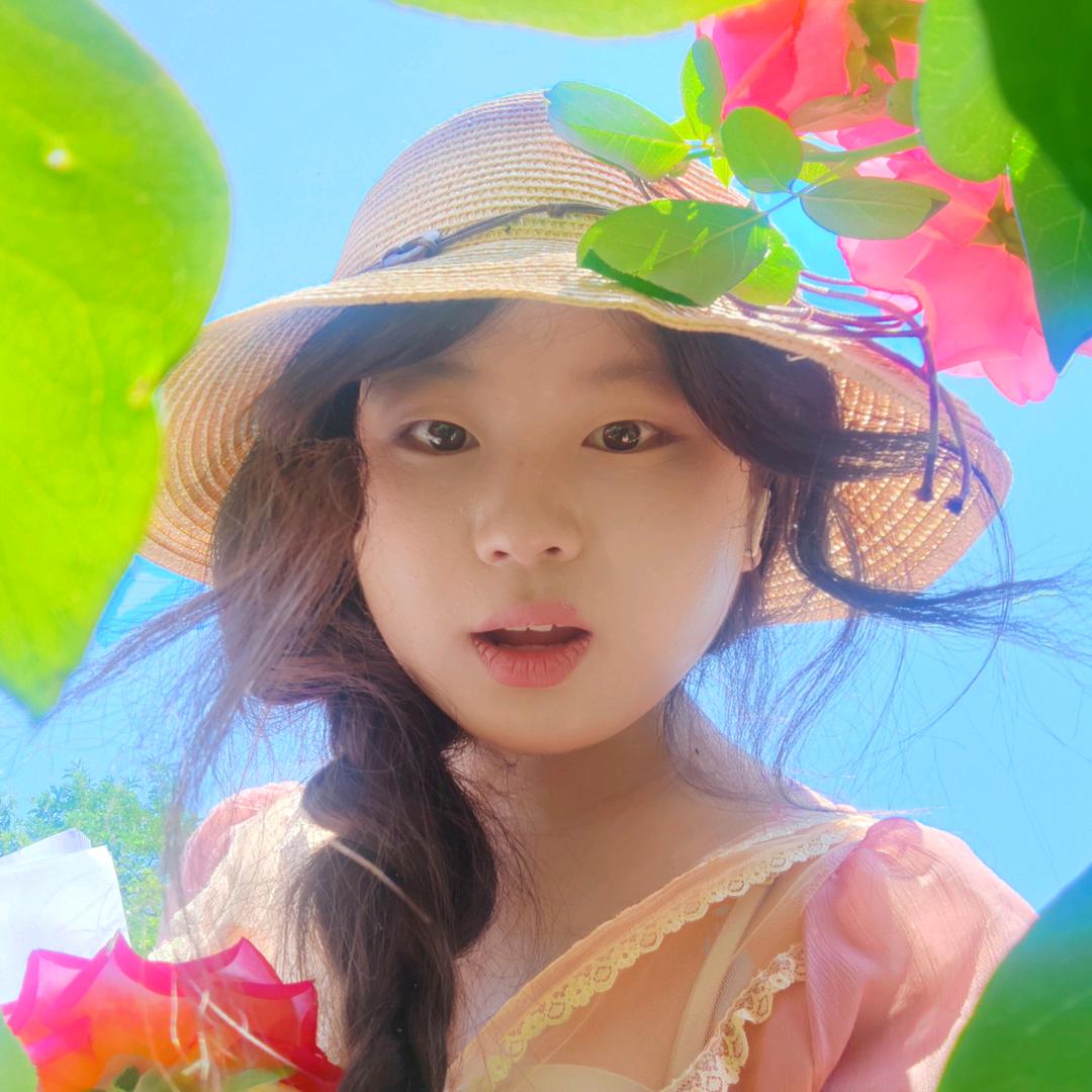 🌺明媚