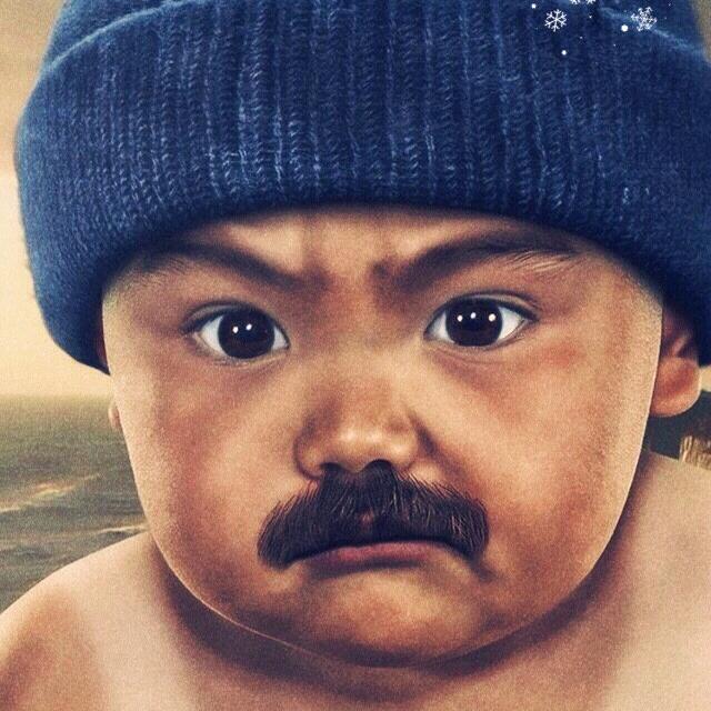 🪳🪳  🪳  🪳  🪳