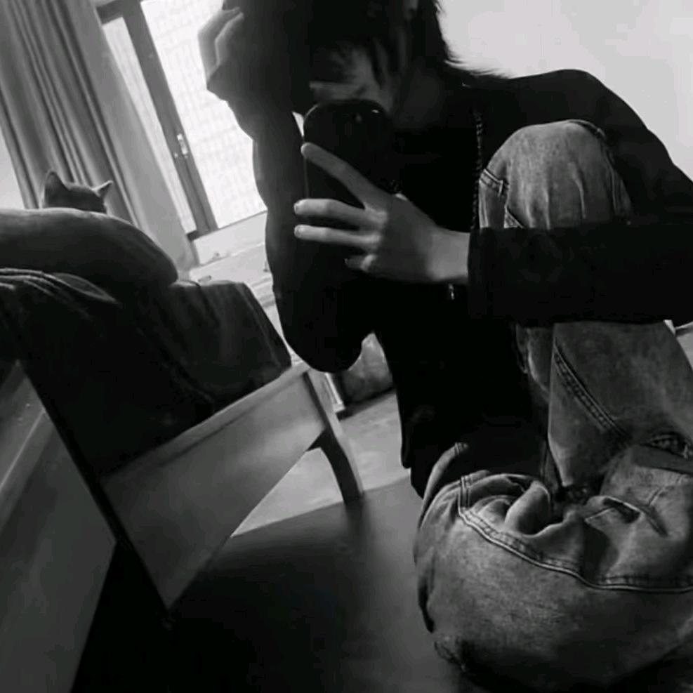 抗抑郁的笨蛋
